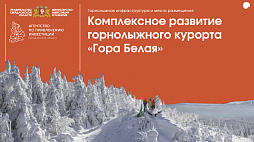 Комплексное развитие горнолыжного курорта «Гора Белая» - ознакомительный фрагмент презентации - 1